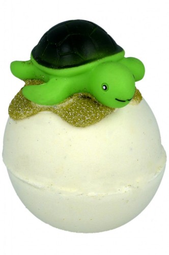 tortue.jpg