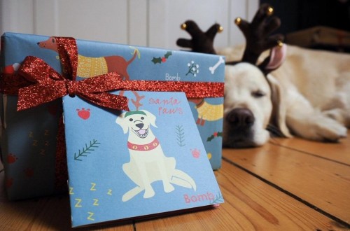 coffret_santa_paws.jpg